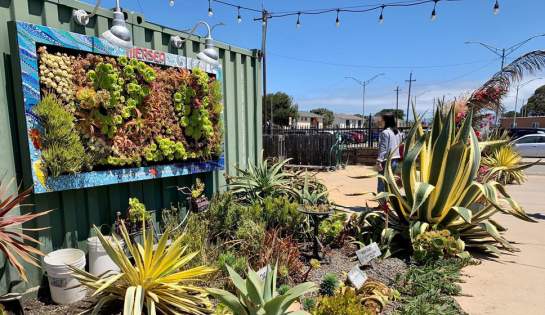 MerSea Restaurant gallery image 2 - architectural detail by SLYworx