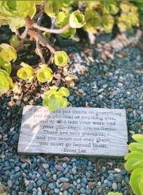 MerSea Restaurant gallery image 3 - architectural detail by SLYworx